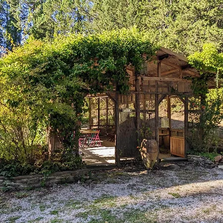 Monestevole 501 * Galera